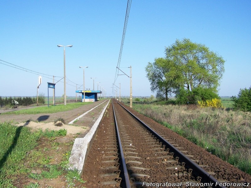 stacja_lis_2.JPG
