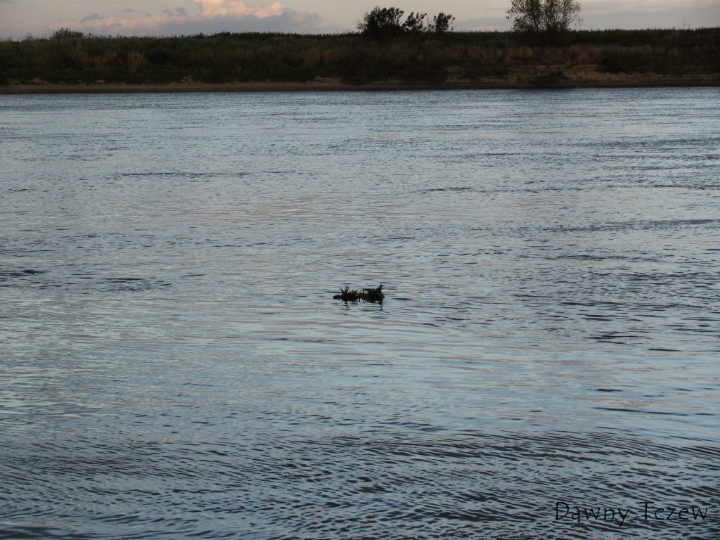 Img_7723.jpg