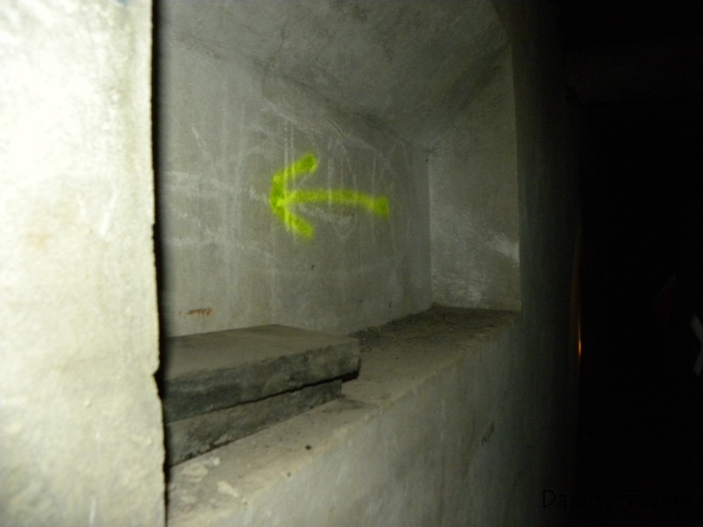 DSCN6539.JPG