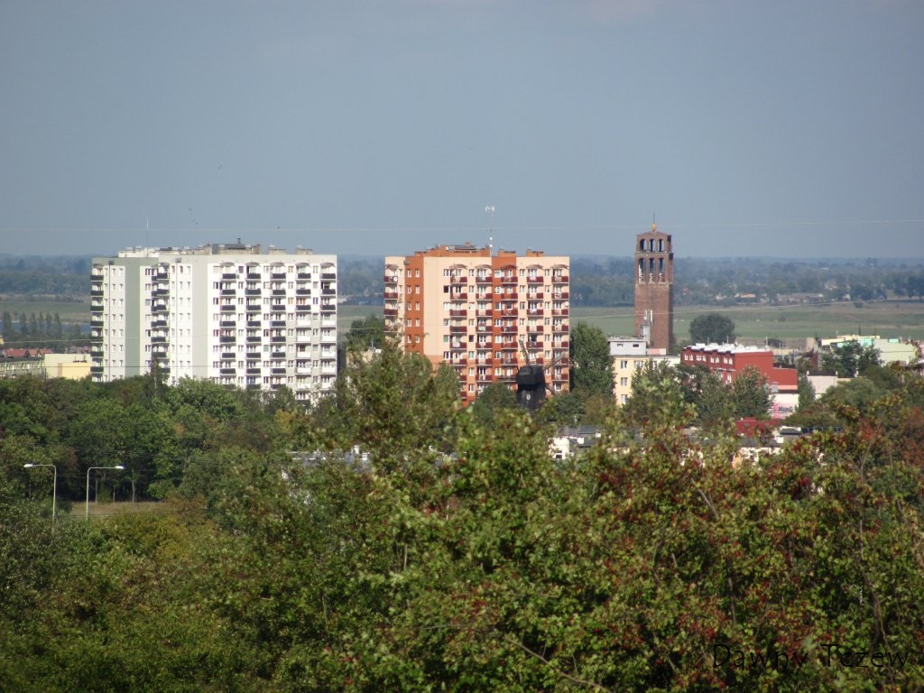 Img_8521.jpg