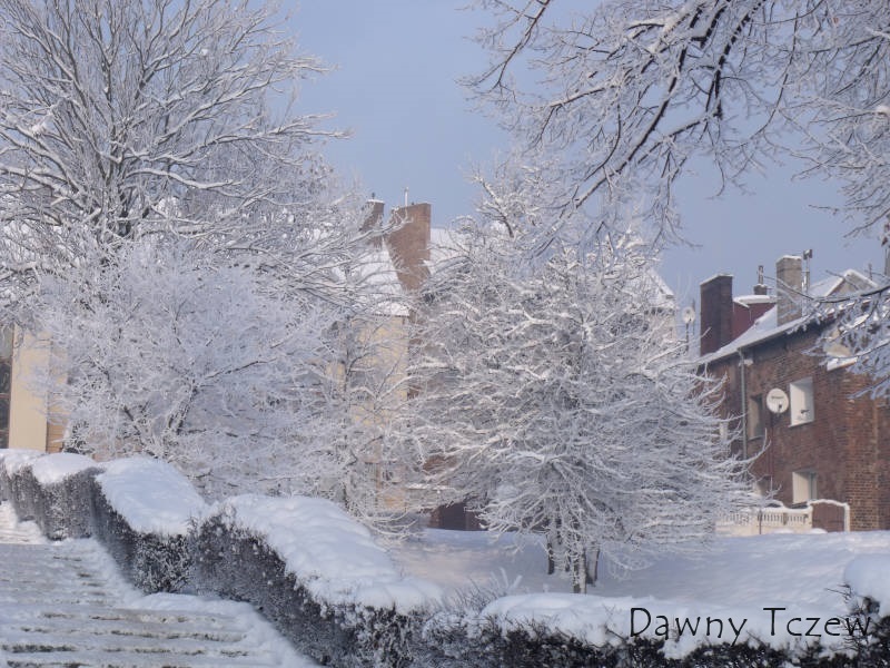 DSCF9581.jpg
