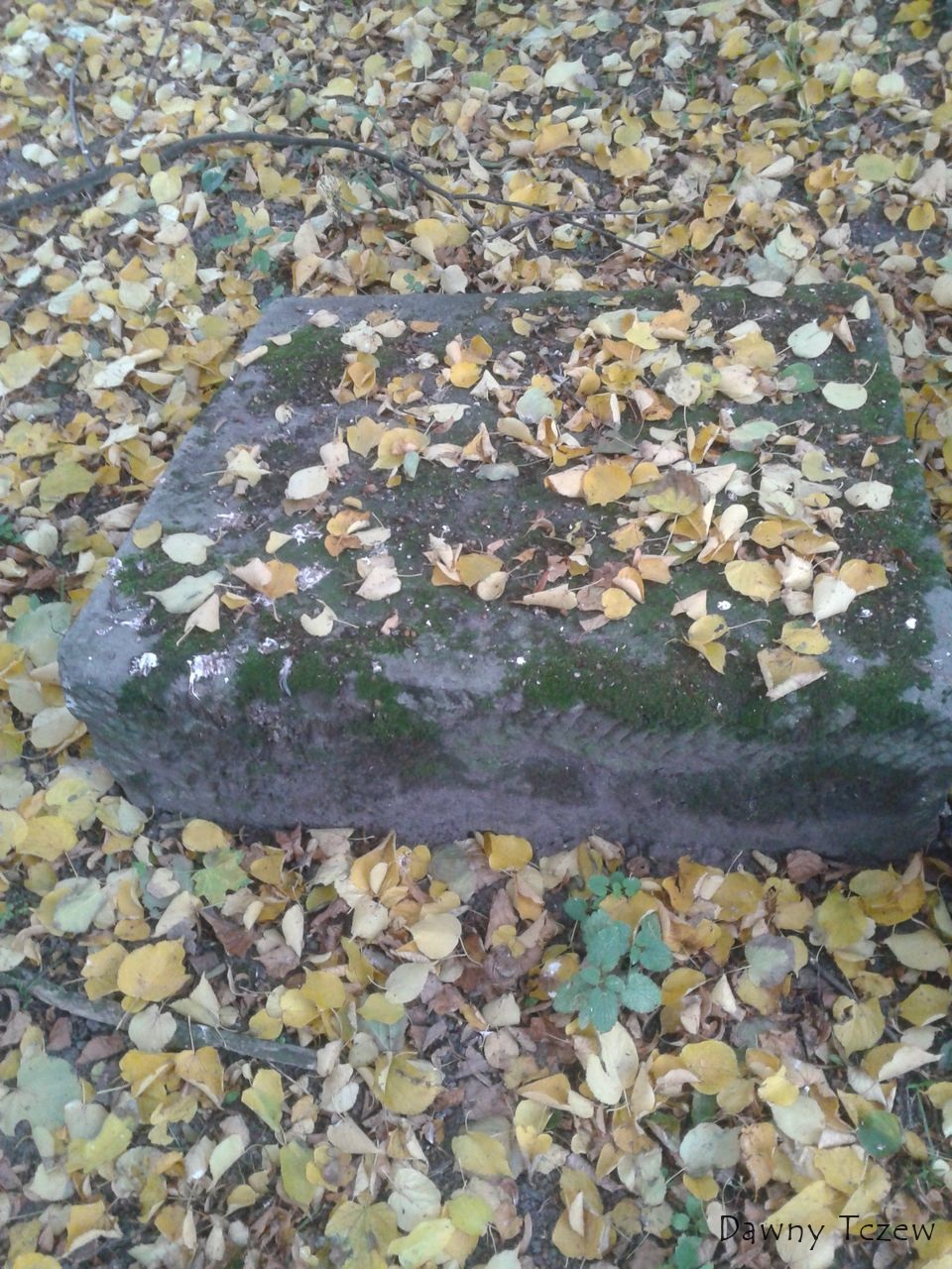 grób.jpg