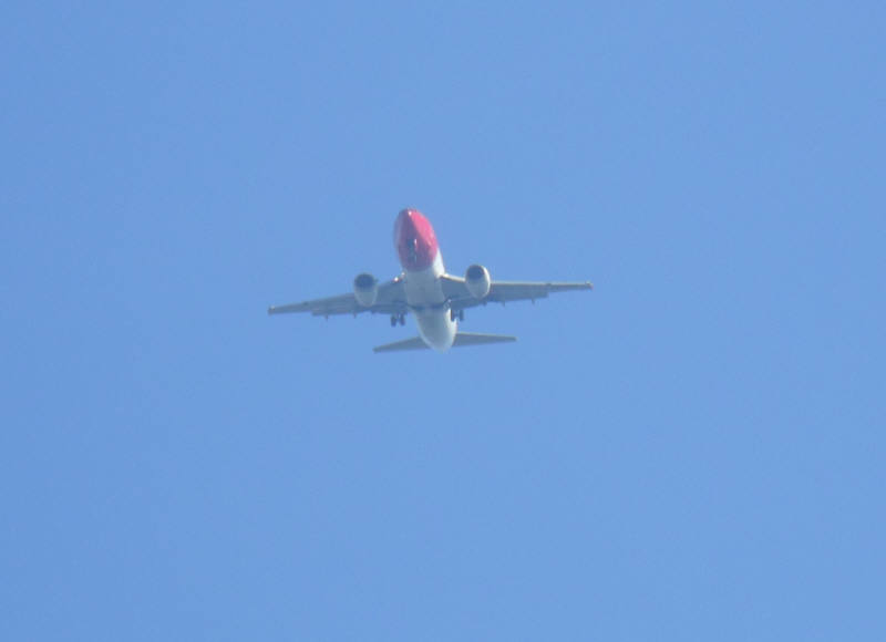 DSCF7999.jpg