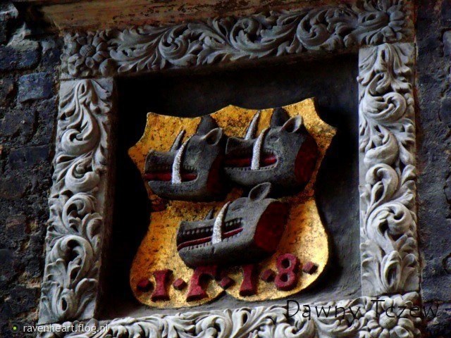 Trzy świńskie łby.jpg