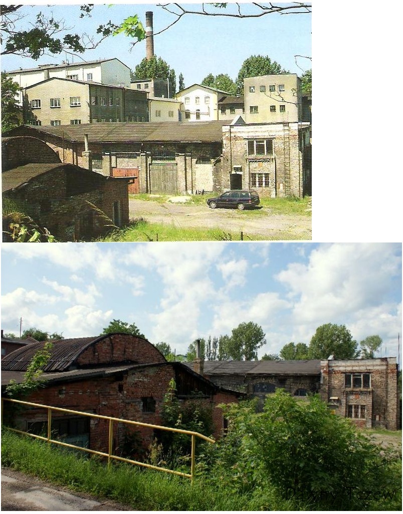 Zabytkowy most tczewski - konteksty (Affelt)2009 i ja 2012.jpg