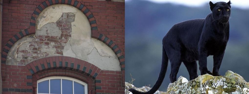 PanPóźniej.jpg