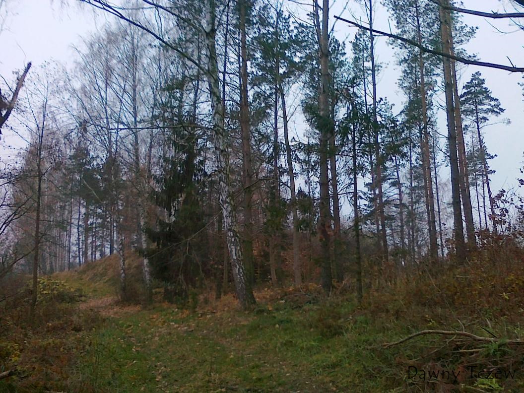 20121117985.jpg