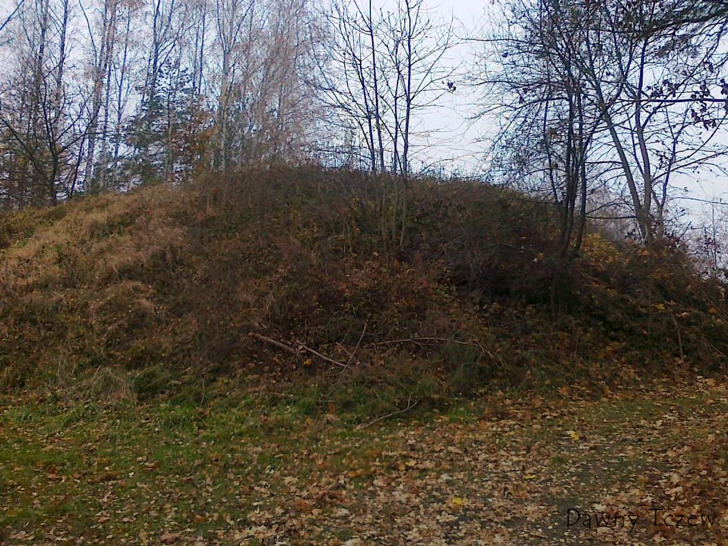 20121117986.jpg