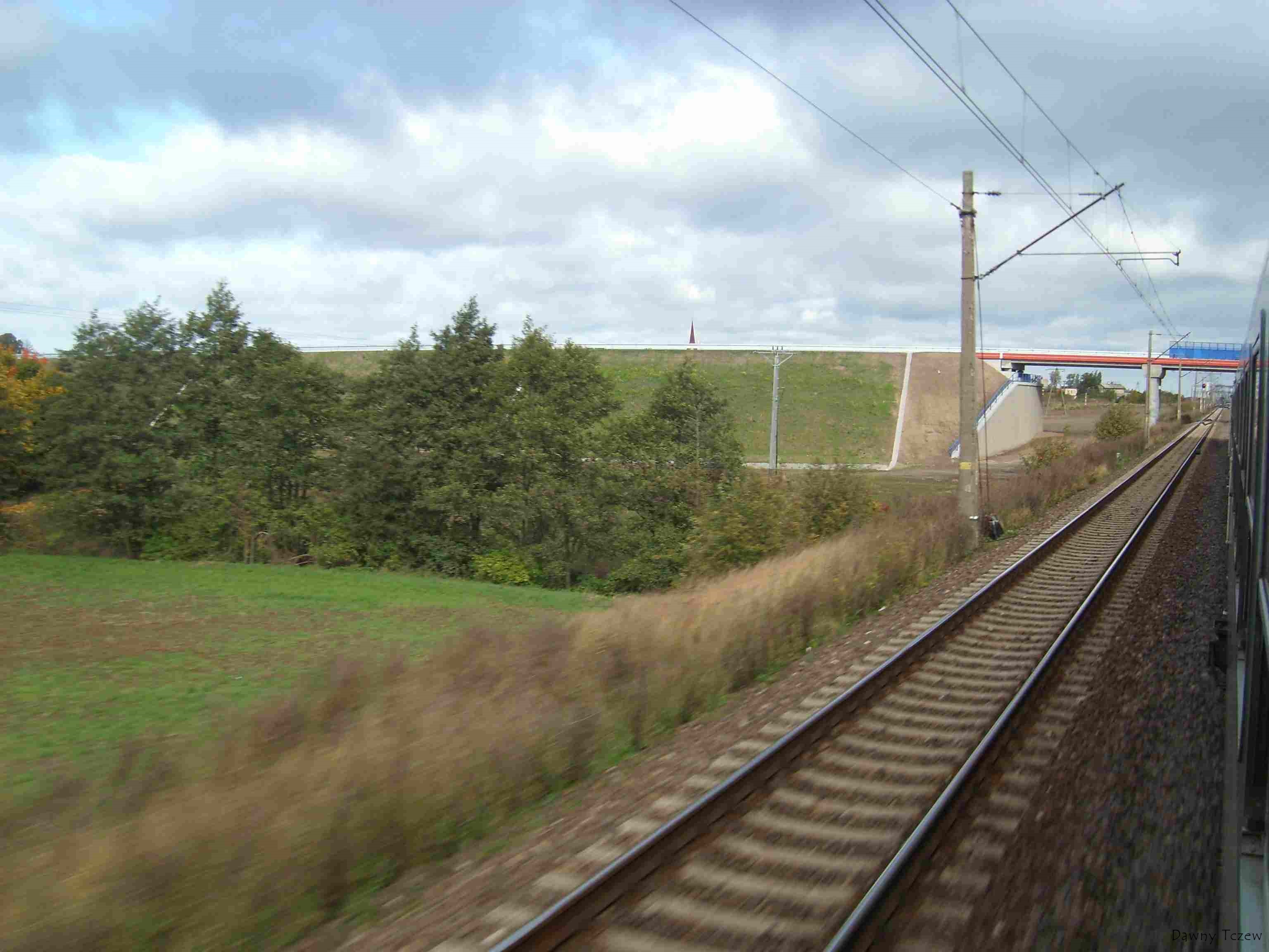 SL275369.JPG