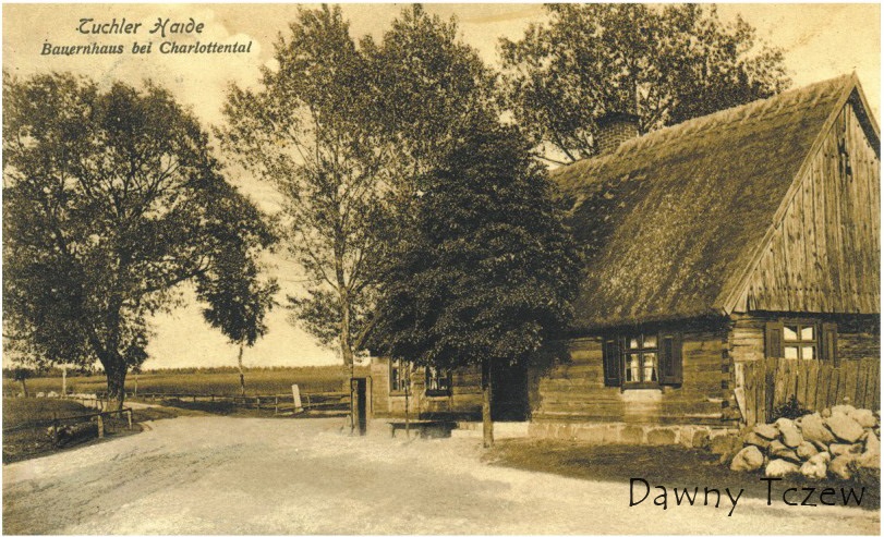 szarłata.jpg