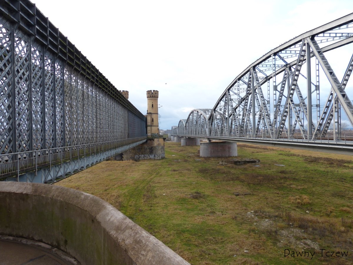 P1050740.jpg