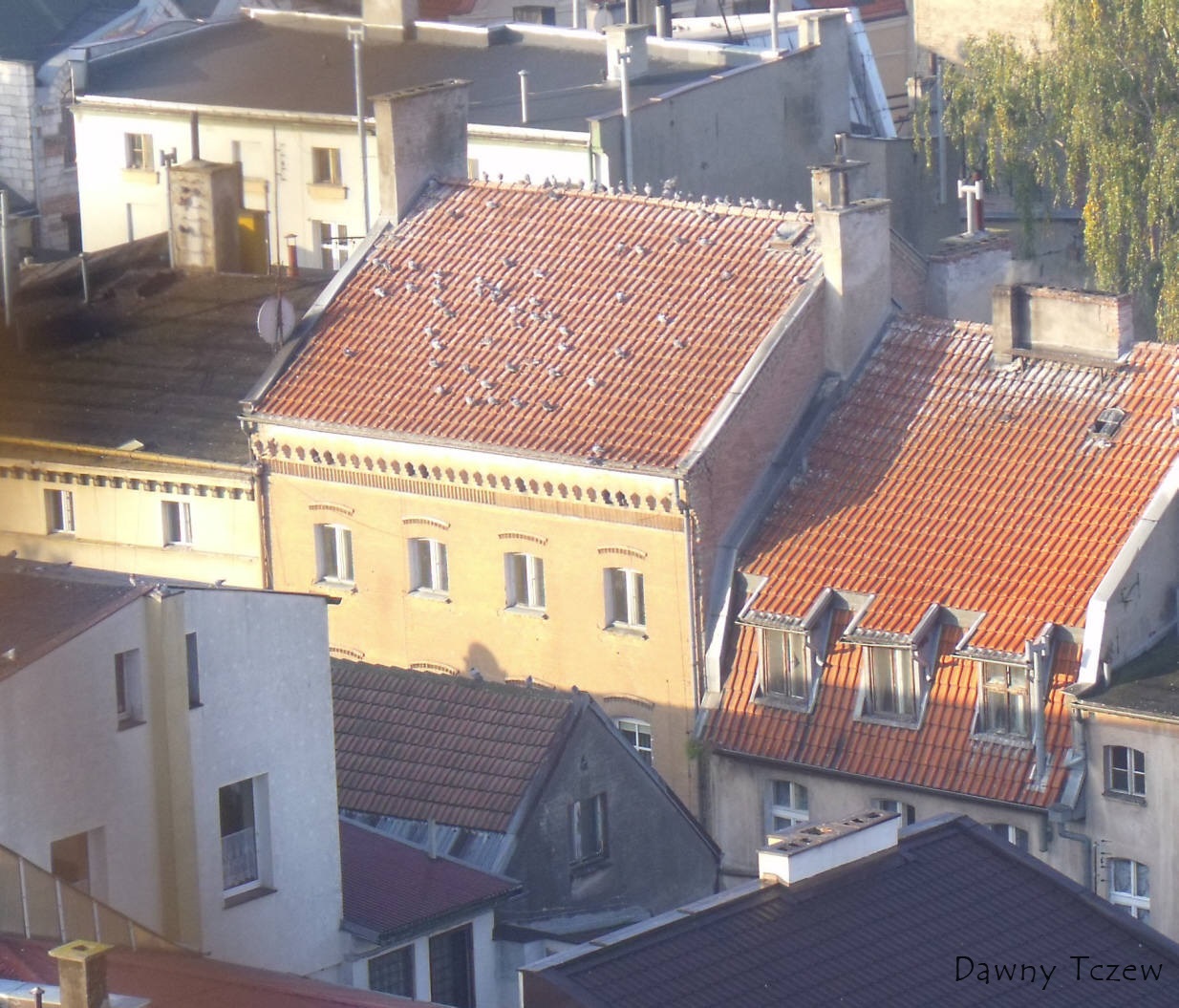 DSCF7719.jpg