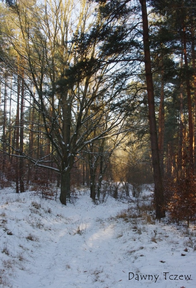 Droga do (zu . Rokittken )....1.jpg