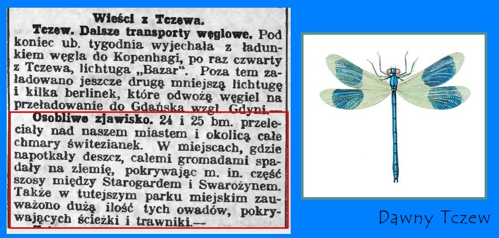 Słowo Pomorskie 29 maja 1926.JPG