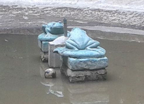 żabki.jpg