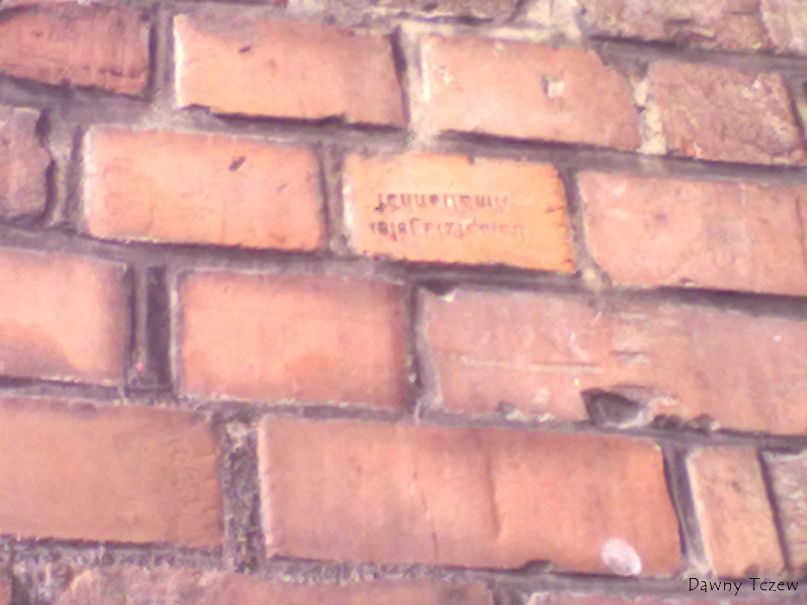 20110822442.jpg