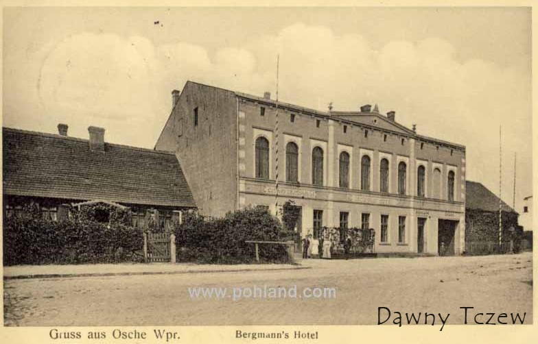 bergmann osie.jpg