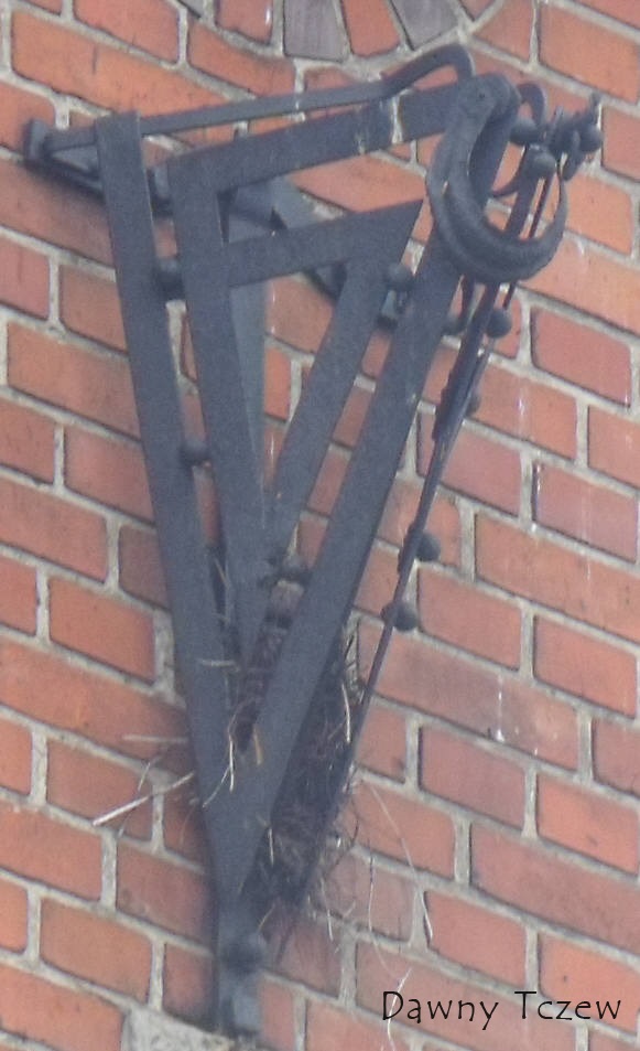 DSCF1554.jpg