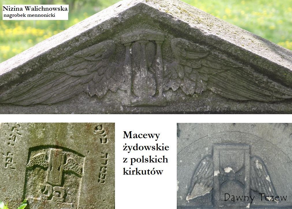 DSCF1213.jpg