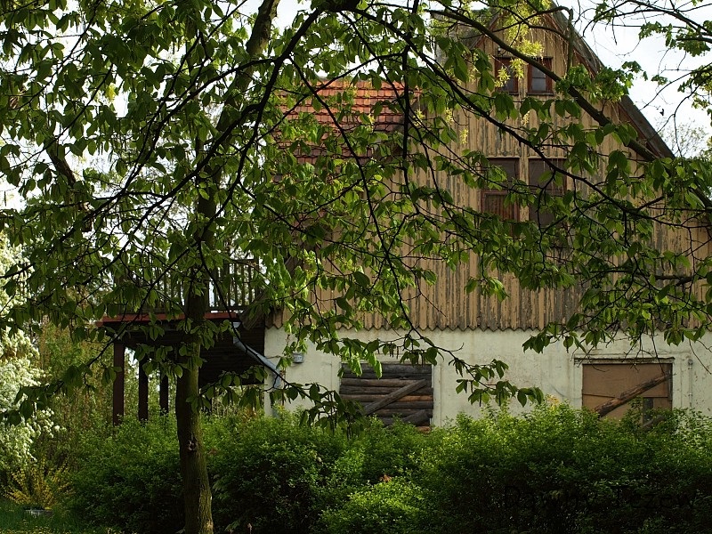 _czyzykowska3.jpg
