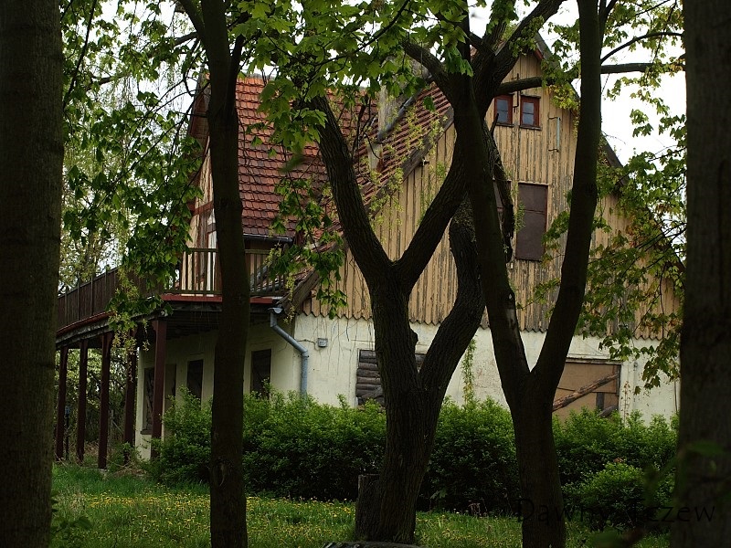 _czyzykowska4.jpg