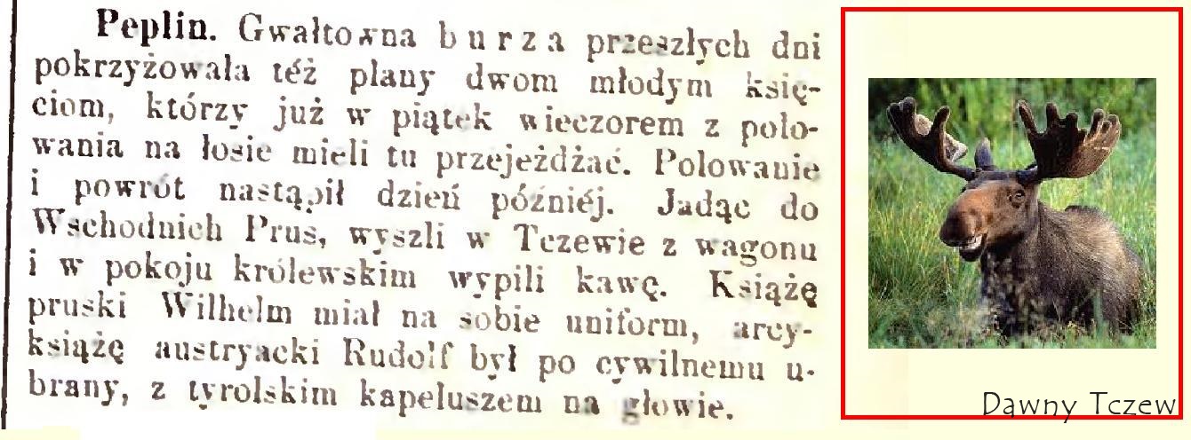 Pielgrzym 21 października 1884.JPG