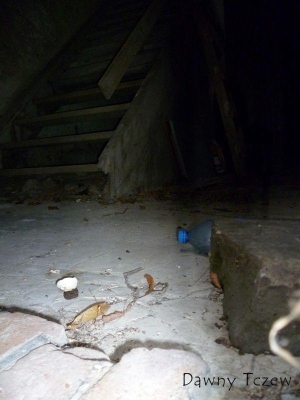 P1100165.JPG