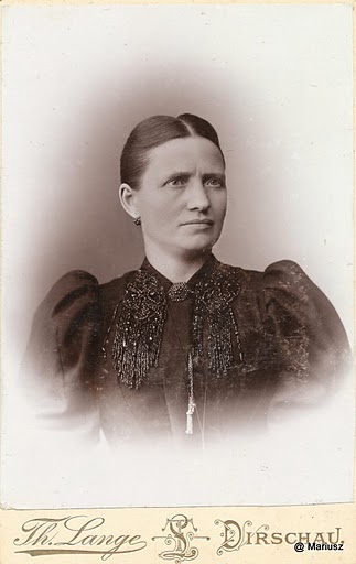 Lange Picasa Mar.jpg