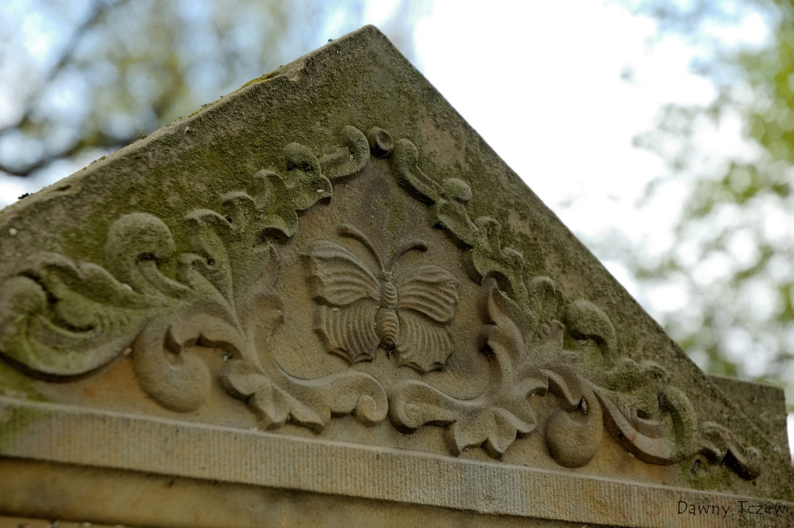 2011 05 02 - 11.24.08 - 244.jpg