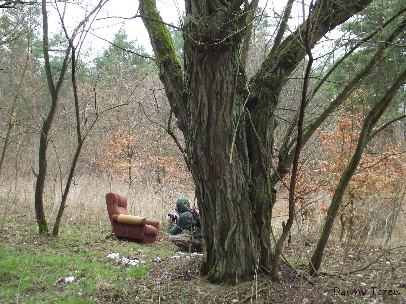 DSCF4997.JPG