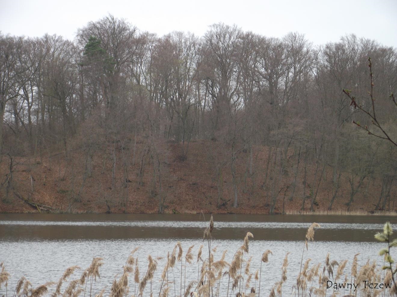 DSCF5004.JPG