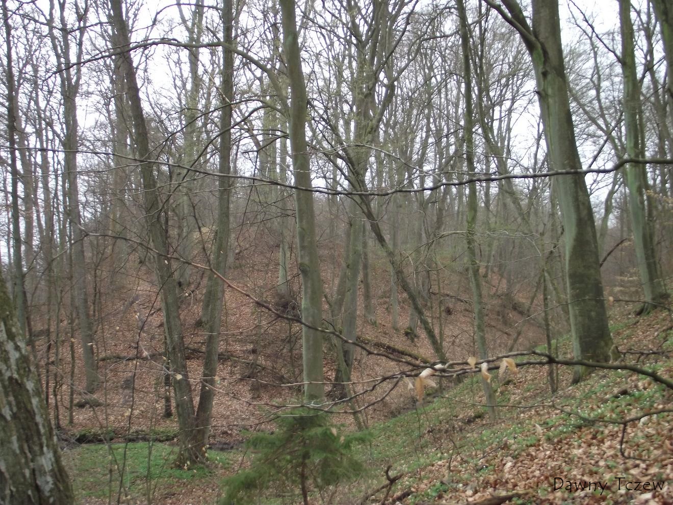 DSCF5015.JPG