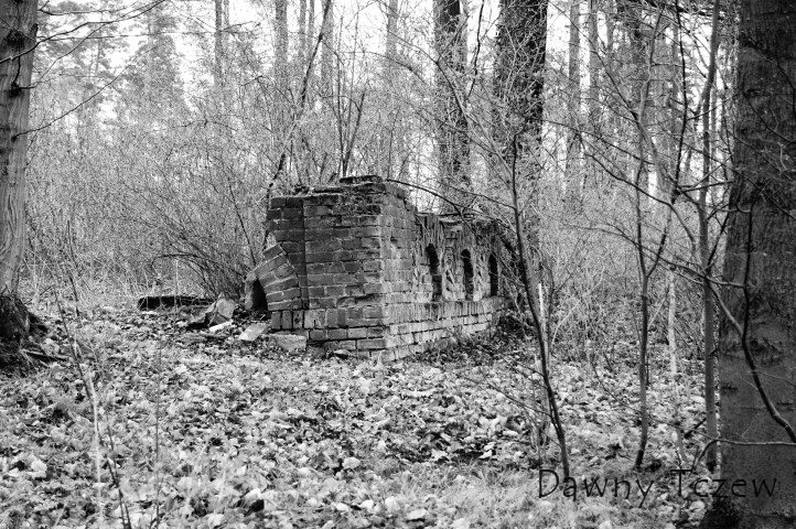 DSC08265 (Small).JPG