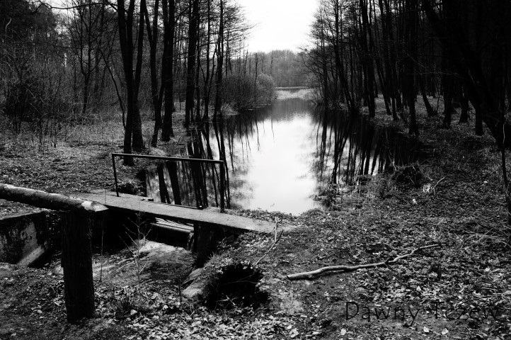 DSC08316 (Small).JPG