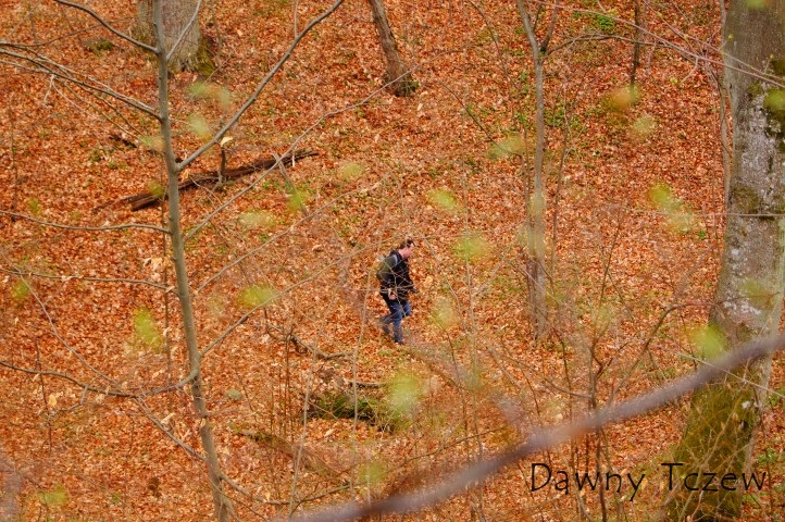 DSC08362 (Small).JPG