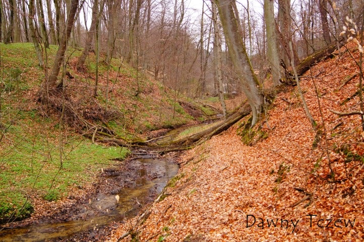 DSC08342 (Small).JPG