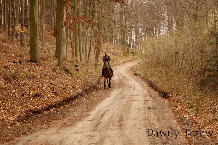 DSC08301 (Small).JPG