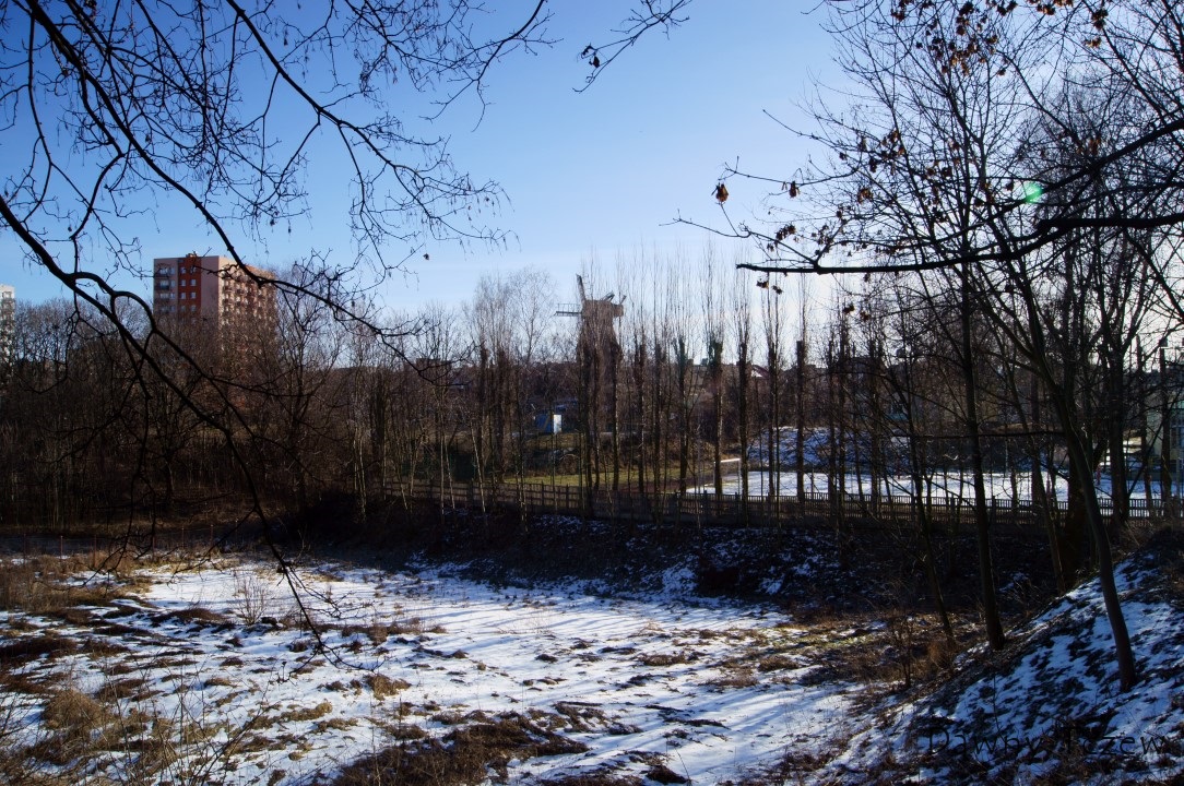 DSC08001 (Custom).JPG