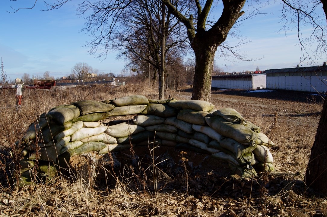 DSC08030 (Custom).JPG