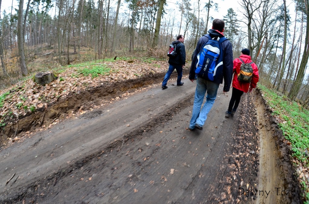 DSC_7306.JPG