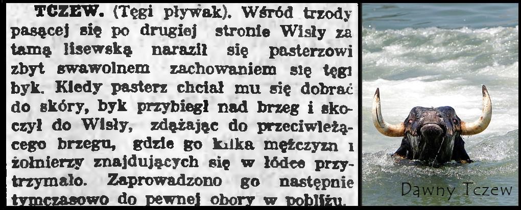 Słowo Pomorskie 29 07 1924.JPG
