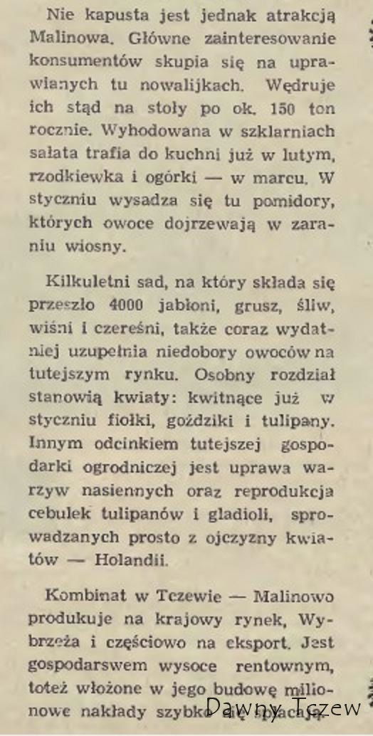 malinowo2.jpg