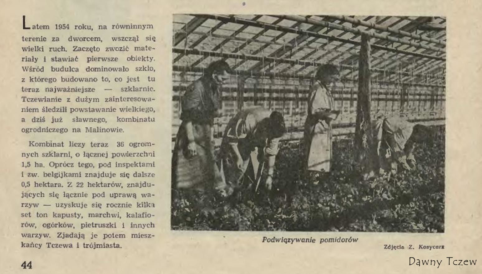 malinowo1.jpg