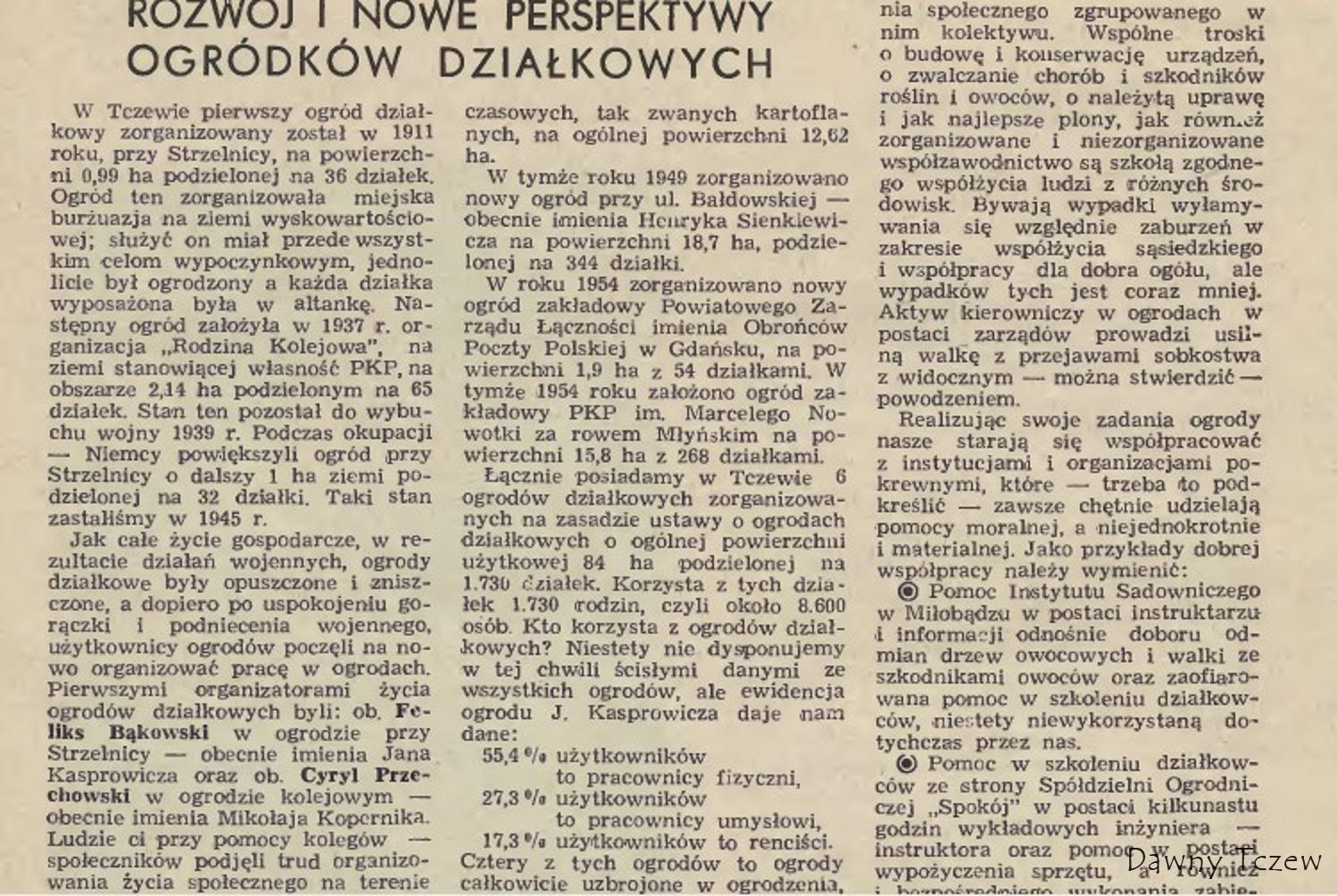 ogród działkowy1.jpg