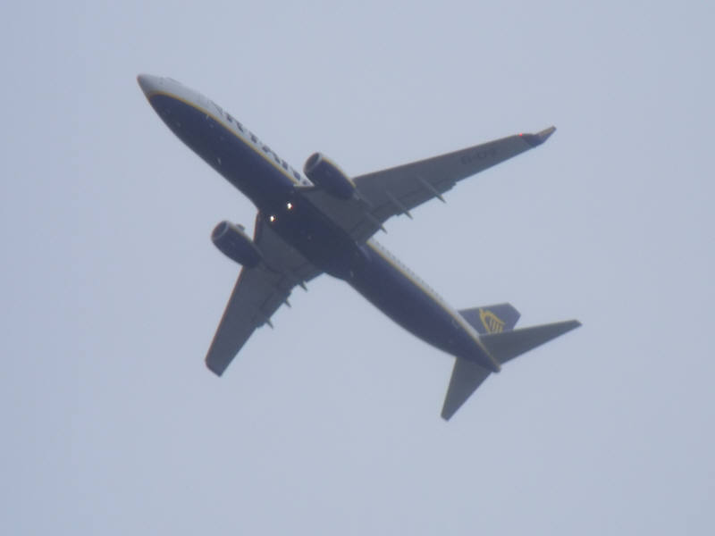 DSCF1752.jpg