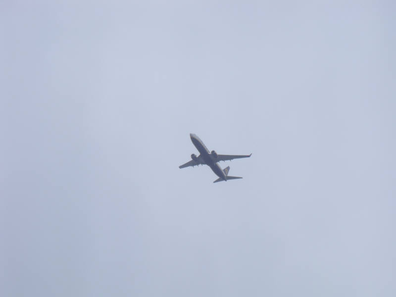 DSCF1751.jpg