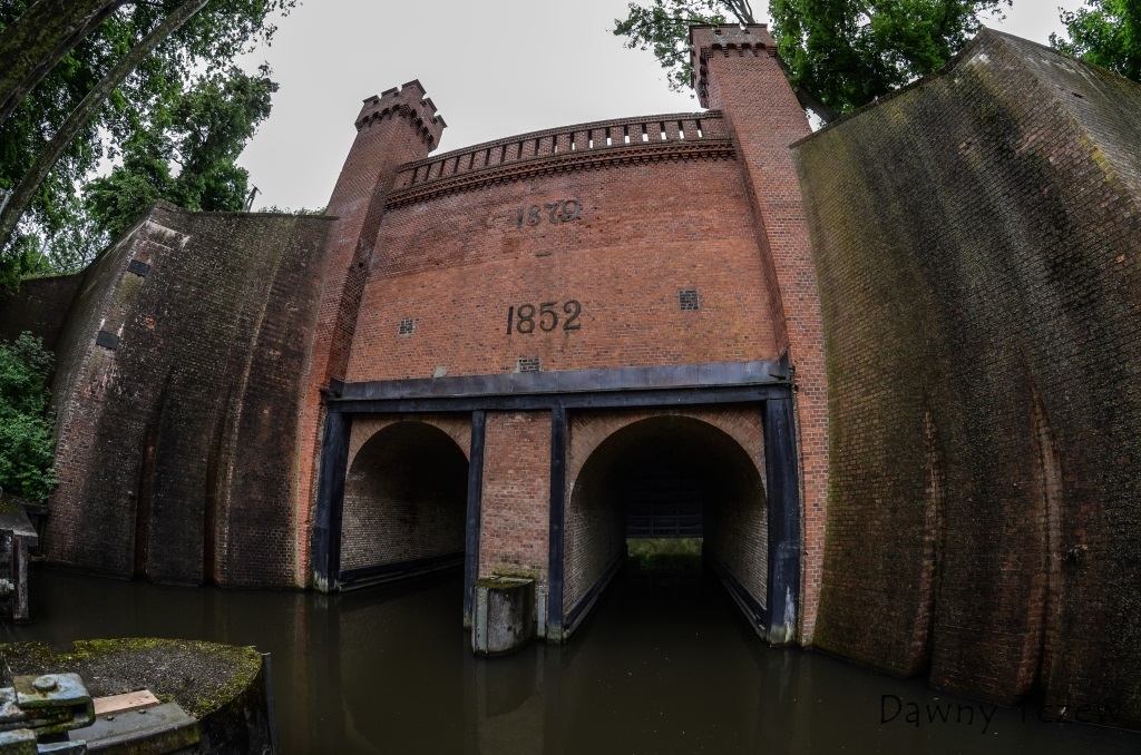DSC_8304-2.jpg