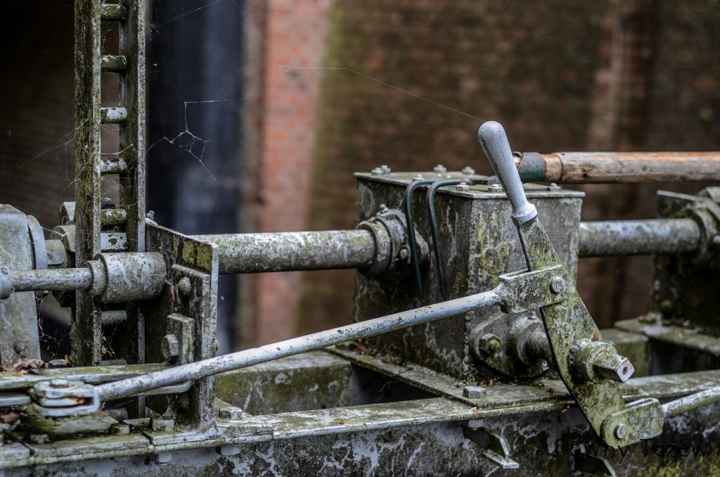 DSC_8309-2.jpg