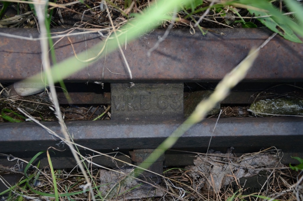 DSC_8545.JPG