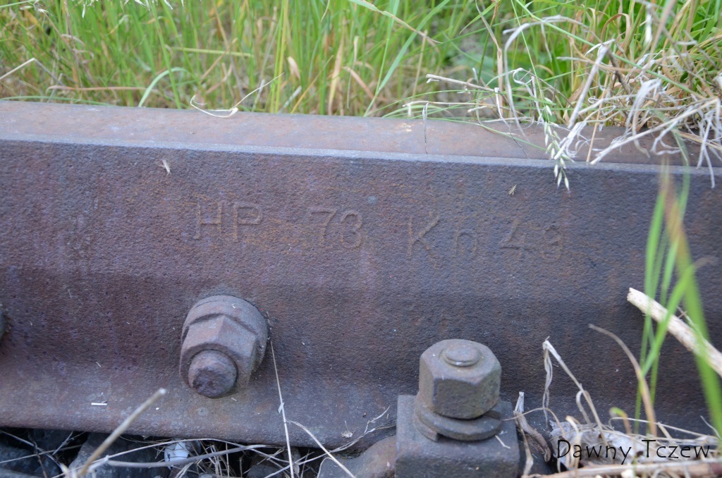 DSC_8548.JPG